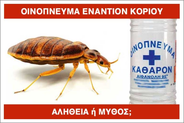 ΚΟΡΙΟΙ και ΟΙΝΟΠΝΕΥΜΑ