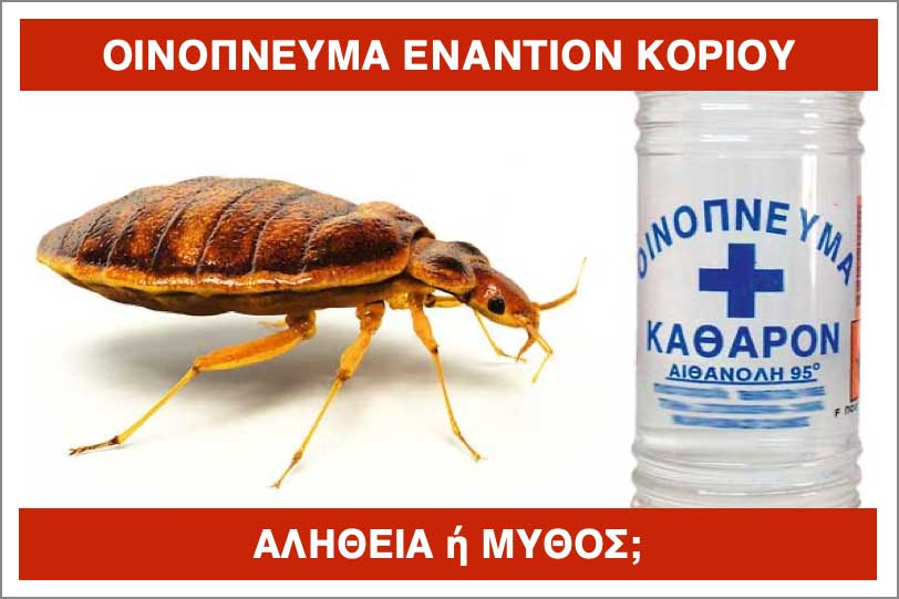 ΚΟΡΙΟΙ και ΟΙΝΟΠΝΕΥΜΑ