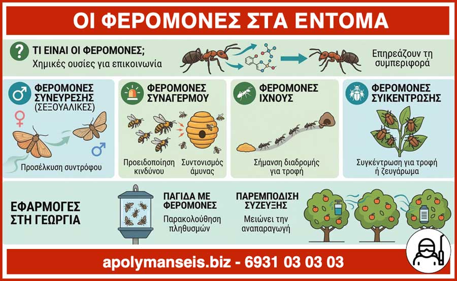 Τι είναι οι ΦΕΡΟΜΟΝΕΣ KAI πως τις χρησιμοποιούν τα ENTOMA - Infographic