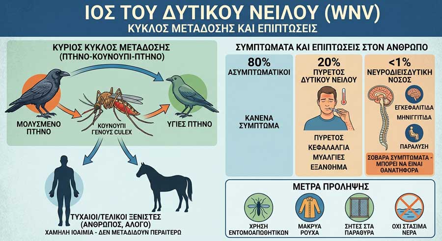 Ιός Δυτικού Νείλου - Infographic που δείχενι πώς μεταδίδεται.